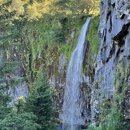 Le Martin Pêcheur, Proche Hyper Centre Le Mont-Dore