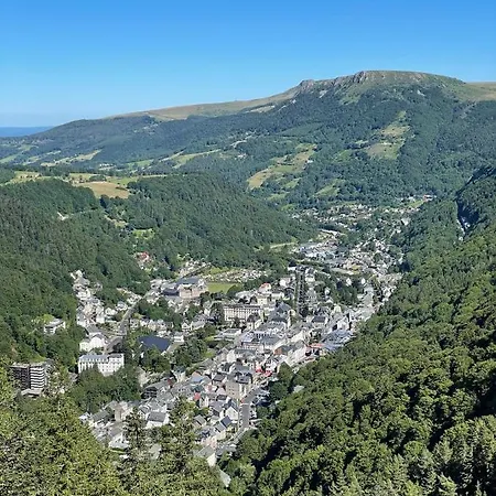 Le Martin Pecheur, Proche Hyper Centre Mont-Dore